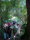 Spaziergang nach Dornach 1a.jpg (43454 Byte)