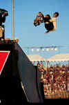 HAWK1.JPG (70712 Byte)
