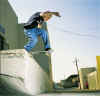JAMIE01.JPG (85914 Byte)
