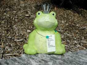 Sei kein Frosch und schau vorbei!
