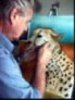 Painting1