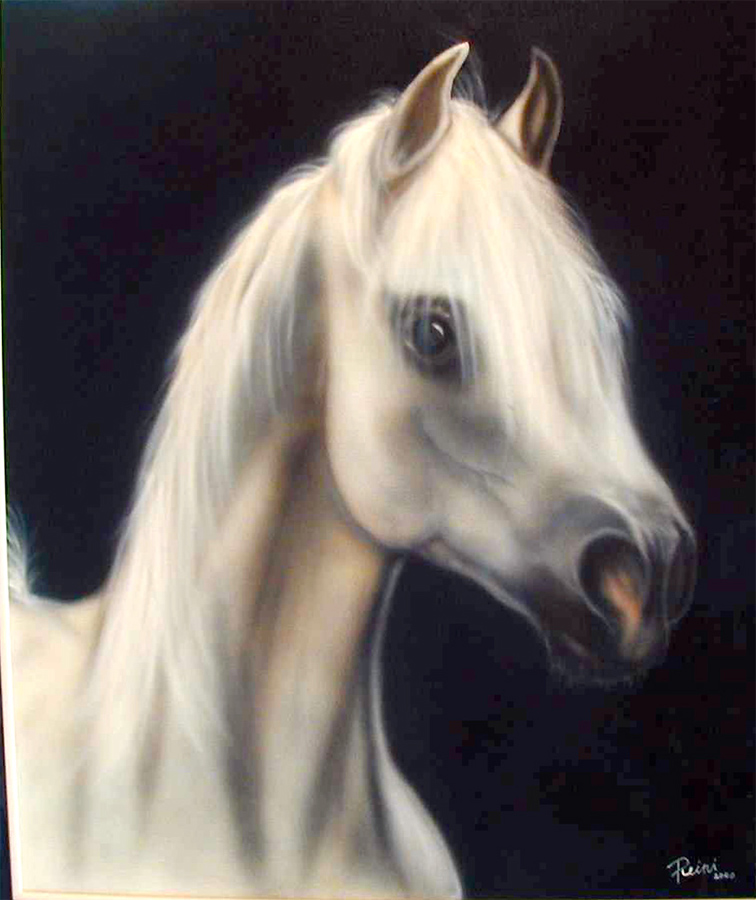 A3