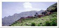 s.antao8.html