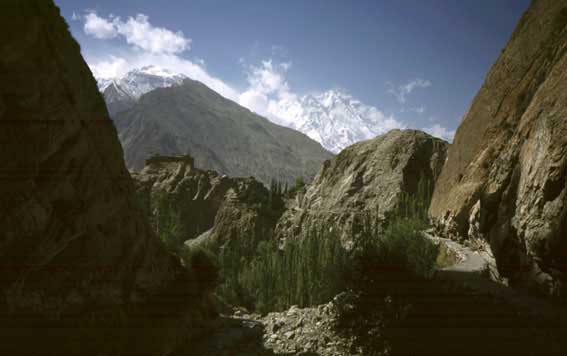 baltit_back