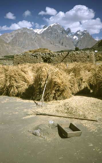 harvest