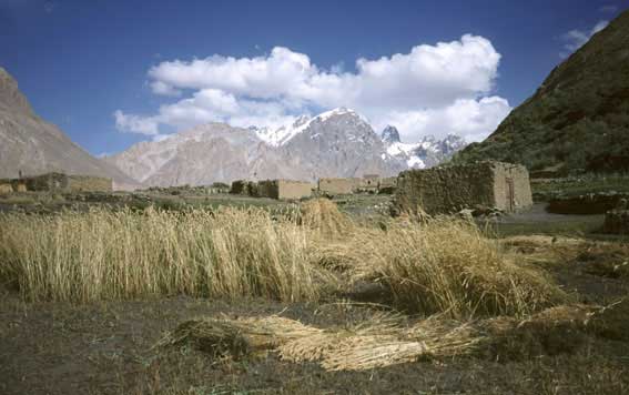 shimsahl-village