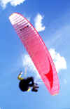 vert5.jpg (45806 Byte)