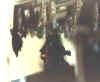 FALTER2.JPG (8393 Byte)
