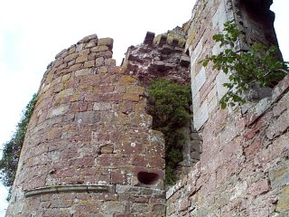 ruine overwoekerd met bomen