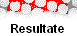  Resultate 