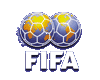 Der Weltfussballverband - FIFA
