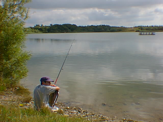 0729_004.jpg (43530 bytes)