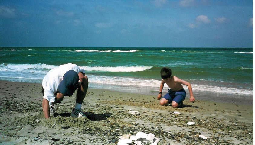 beach1.jpg (56463 bytes)
