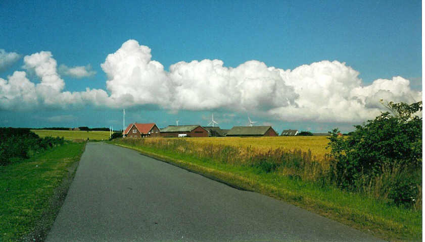 country-scene.jpg (43366 bytes)