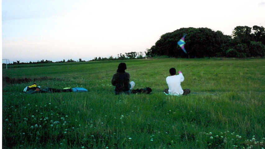 kites1.jpg (43371 bytes)
