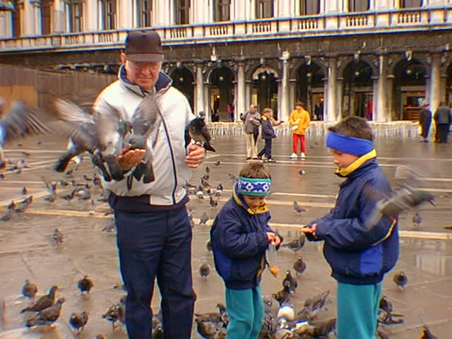 pigeons.jpg (63117 bytes)