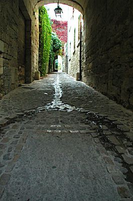 6237.jpg