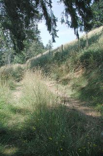 dscn7397.jpg