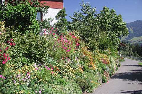dscn7539.jpg