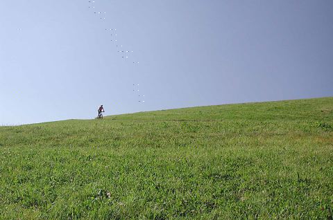 dscn7547.jpg