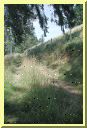 DSCN7397.JPG