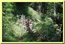 DSCN7492.JPG