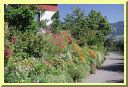 DSCN7539.JPG