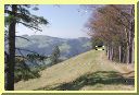 DSCN7546.JPG