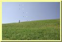DSCN7547.JPG