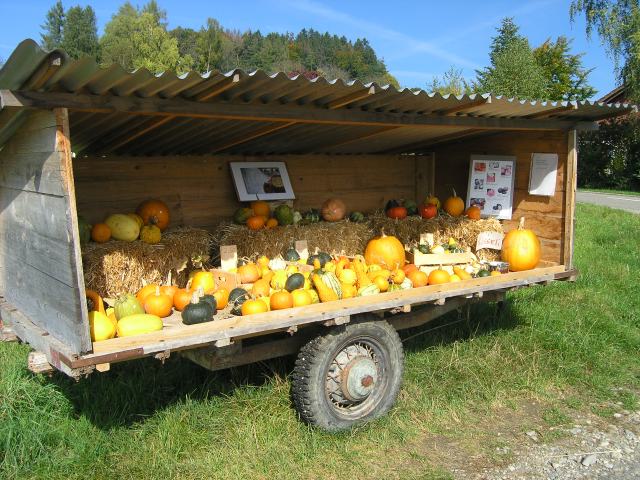 pa085905.jpg