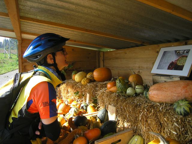 pa085912.jpg