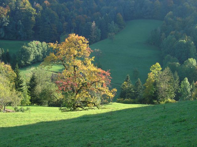 pa115927.jpg