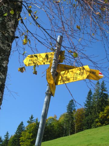 pa115950.jpg