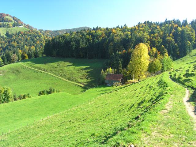 pa115967.jpg