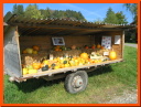PA085905.JPG