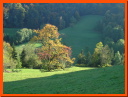 PA115927.JPG