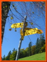 PA115950.JPG