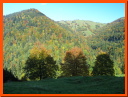 PA115955.JPG