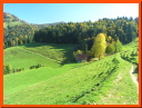 PA115967.JPG