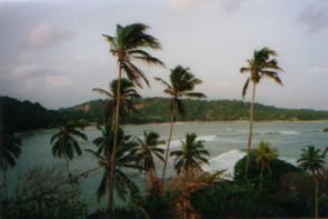 sri-palmhill.JPG (8935 Byte)