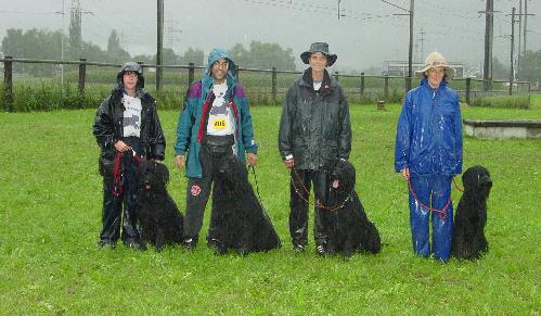 von links nach rechts: Bea + Popa, Enzo + Mel Paso, Evelyne +  Manea, Carmen + Mivana  
