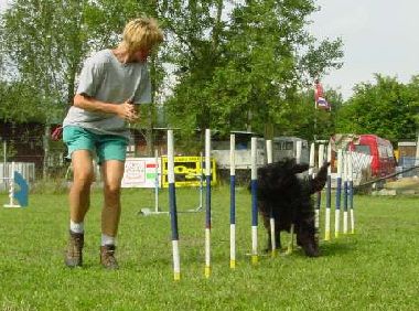 Larousse in Windeseile durch den Slalom