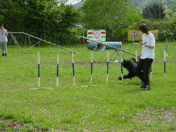 Manea flitzt durch den Slalom!