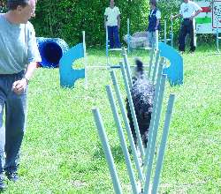 gogo, slalom