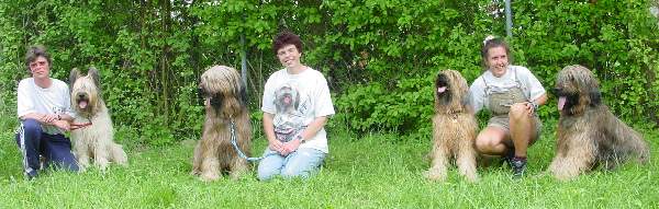 die 4 fauven Briards
