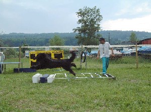 Mondioring: Mel Paso del Pata viento beim Weitsprung