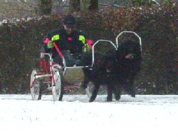 Mel Paso + Pop�a del Pata viento mit einer Geschwindigkeit von ca. 40 km/h ins Ziel.