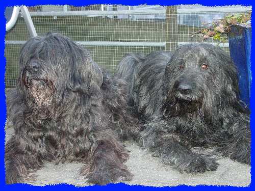 Floc und Fanouche(rechts) 