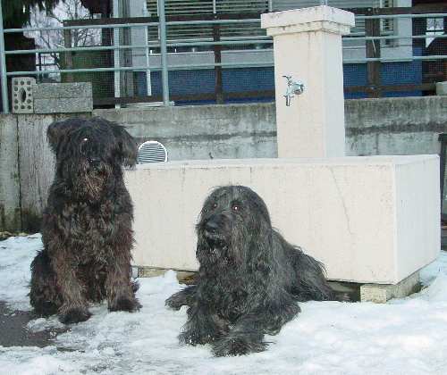 Floc und Fanouche rechts