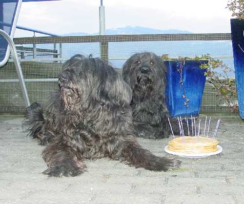 Floc links, Fanouche rechts